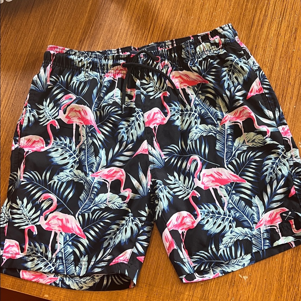 Tropical Flamingo Print Men's Board Shorts